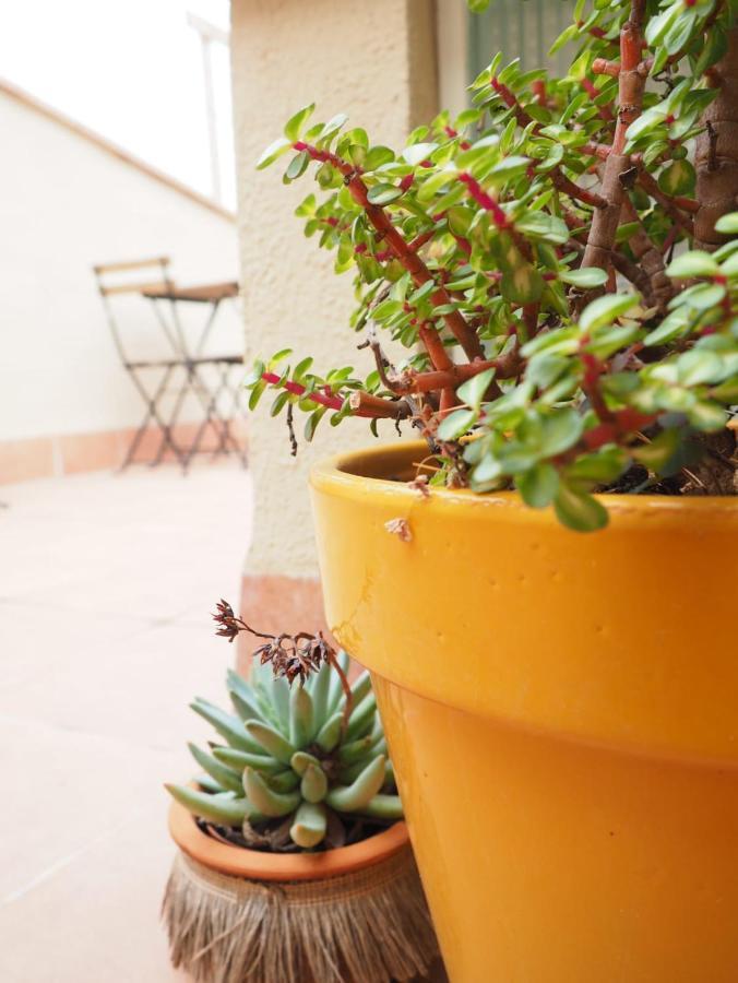 Apartaments La Rambla - Arbequina - 6 Persones Cornudella de Montsant Exteriör bild